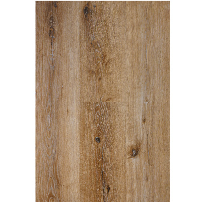 CALGARY  30,90/m2 s DPH 