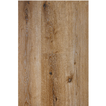 CALGARY  30,90/m2 s DPH 