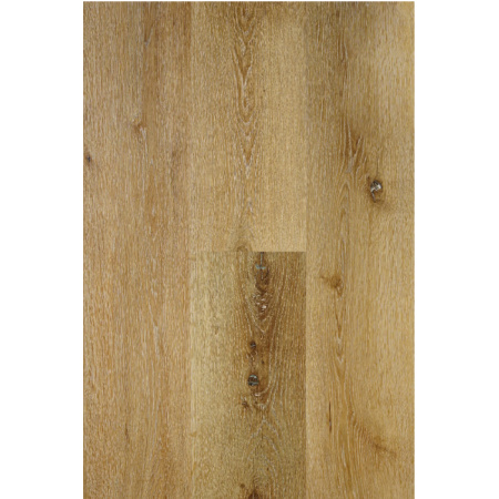 MONTREAL   30,90/m2 s DPH 