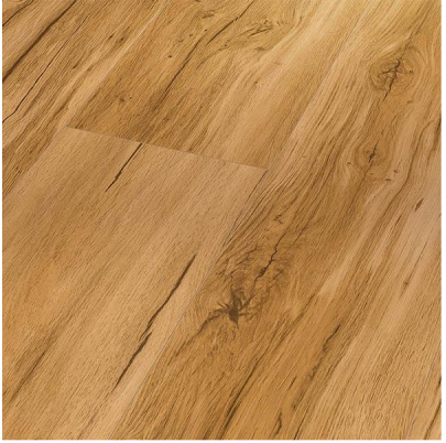 Parador SPC Basic 5.3 Dub memory prírodný P 1743003   39,99/m2 s DPH